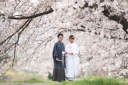 2020年桜ロケーション撮影 ご予約受付開始いたします