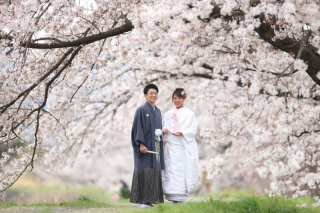 2020年桜ロケーション撮影 ご予約受付開始いたします