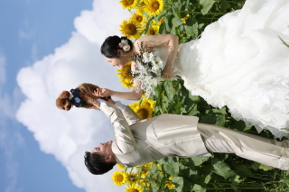 ひまわりロケに行ってきました!