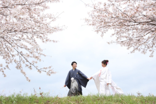 桜ロケーション撮影　ご予約可能枠があと僅かになりました！