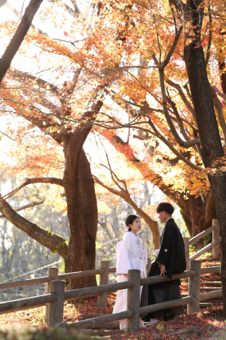 紅葉ロケーションご予約受付中です!