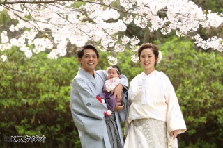 4月に入り、やっと桜が開花し始めました。