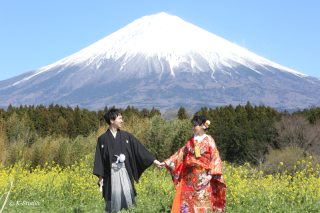 静岡は、まだ桜は開花してません
