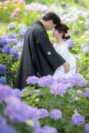 紫陽花満開です♪