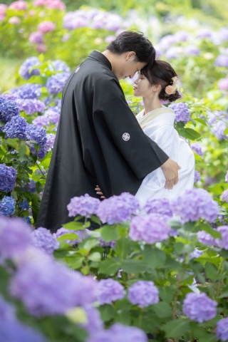 紫陽花満開です♪