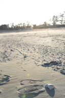 【04】リゾート気分で撮影できる?静波海岸のウェディング前撮りが注目される理由