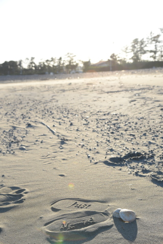 【04】リゾート気分で撮影できる？静波海岸のウェディング前撮りが注目される理由