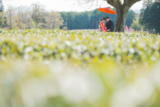 2章　自然豊かな大淵笹場で、心に残るウェディングフォトを撮影しませんか？