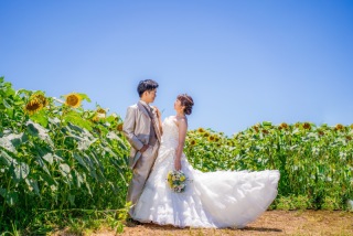 ひまわり！！！