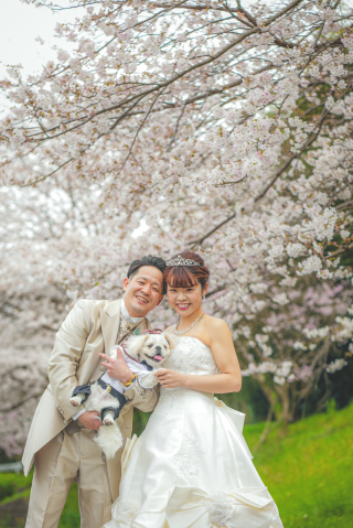 桜ロケ ピンポイント直近割キャンペーン!