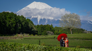 ６章　自然豊かな大淵笹場で、心に残るウェディングフォトを撮影しませんか？
