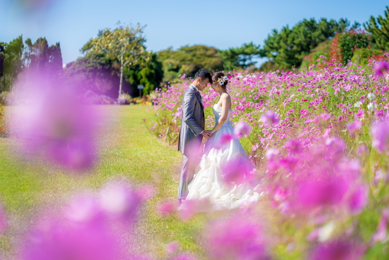6章 自然光と季節の風景が魅力の吉田公園でウェディングフォトを撮影する魅力とは?