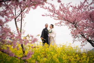 2月からの桜ご予約