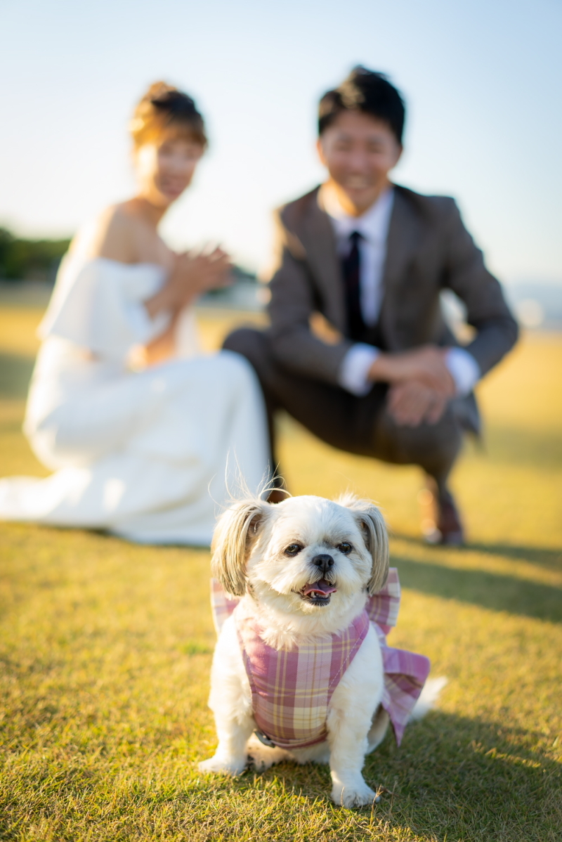 【02】8月10日はフォトウエディングの日”この夏人生の節目に写真という贈り物を