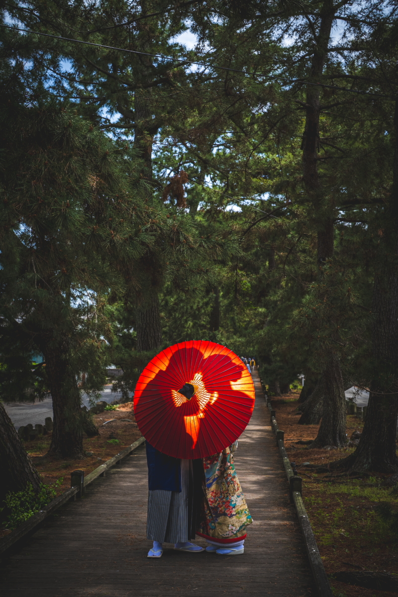 5章 海と松林が彩る一枚を、三保松原のロケーション撮影で叶えてみませんか?