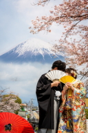 桜と富士山と日本庭園　明けまして