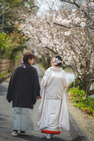 本日のソメイヨシノ