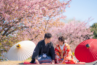 秋から一気に桜へ