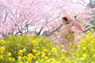 2025桜のロケーション撮影