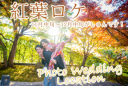 紅葉ロケ爆上がり中です