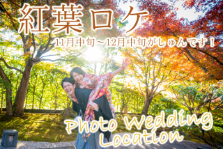 紅葉ロケ爆上がり中です