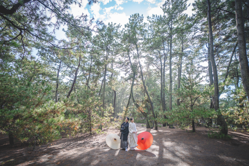 1章 海と松林が彩る一枚を、三保松原のロケーション撮影で叶えてみませんか?