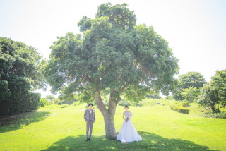 自然の中で輝く、あなただけの特別な一枚を