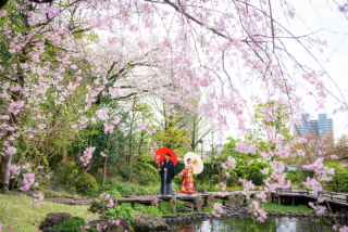 ４章　和の雰囲気を写真に残すなら、紅葉山庭園でロケーション撮影を