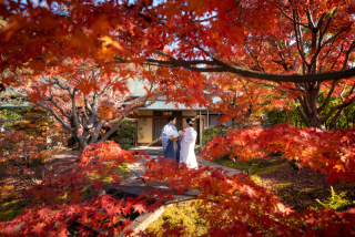 紅葉のご予約が増えてきました