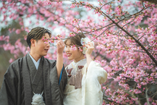 桜ロケ 2025.3月→4月へ