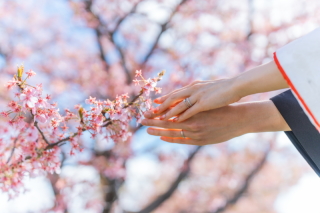 今年もやってきました!!