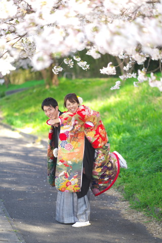 今年の桜ソメイヨシノは