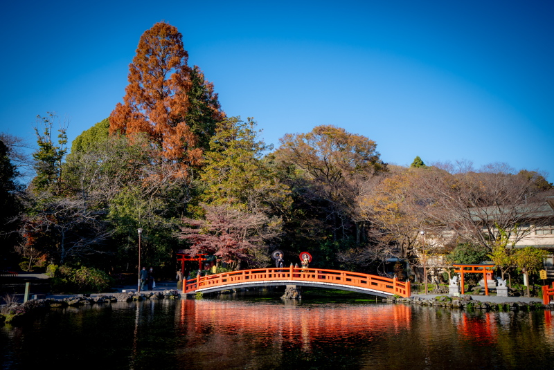 4章　素敵な景色と一緒に前撮りを…富士山を背景にしたウェディングフォトとは？
