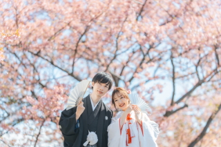 桜ロケ+富士山のシーズンがピークに