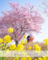 2025年1月~2月 パート2