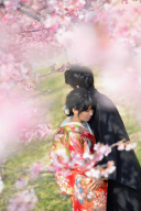 今年の桜の開花は早い！！！