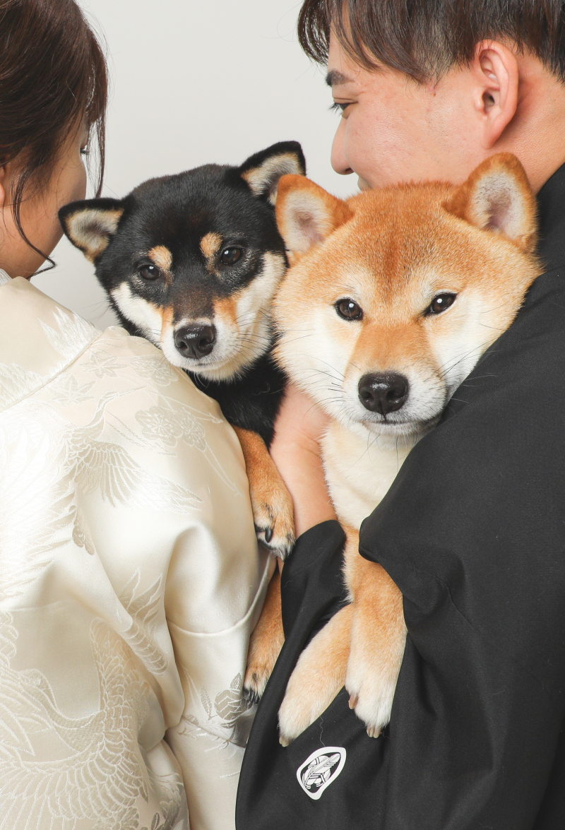【愛する家族とのお写真を♡】ペットプランにつきまして