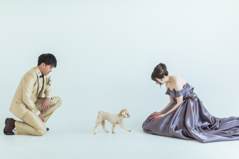 【愛する家族とのお写真を♡】ペットプランにつきまして