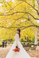 秋のロケーションフォトプランのご案内♪