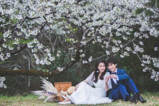 【桜シーズン】都内の撮影スポット【撮影枠あります！】