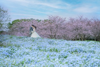 【好評受付中】特典付◆桜ロケーション特別プラン!!