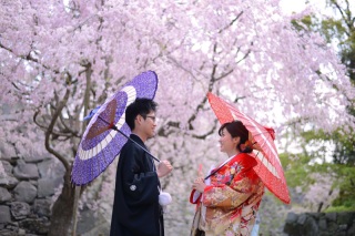 【桜ロケ受付開始】憧れの桜ロケーション撮影120,000→89,800円
