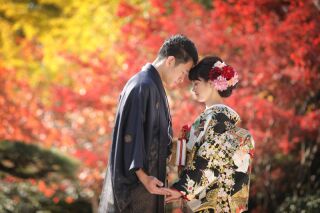 2023年 紅葉ロケーションフォト予約開始