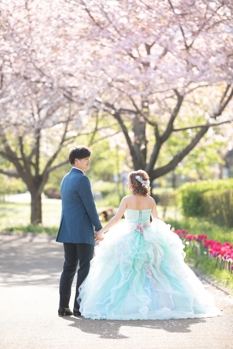 桜フォト…✿