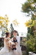 ミモザの季節です♪