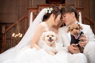 ワンちゃんとのお写真も♪