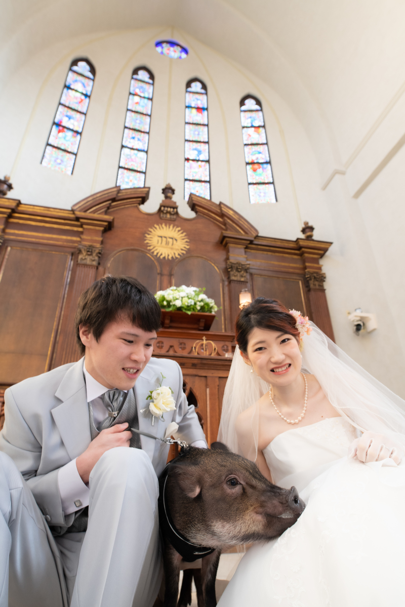 ペットとのお写真撮影承ります!