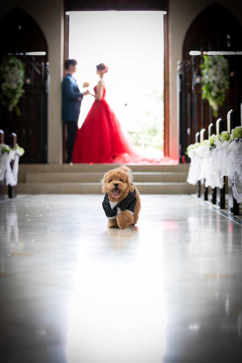 愛犬とのお写真も☆