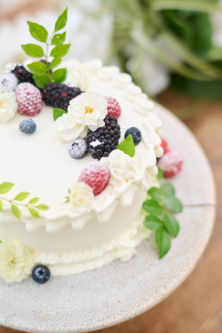 ファーストバイトのご紹介です♪