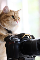 スタジオ貸切だから、ねこちゃんとも♡